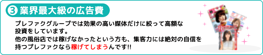 業界最大級の広告費